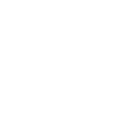 phone icon white